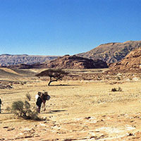 Région - Nuweiba Area – Sinaï – Bédouins